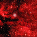 last-of-the-real-wentz avatar