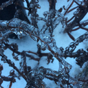 last-rainy-day avatar