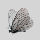 last1chanceblog avatar