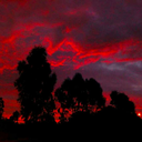 last1king-blog1 avatar