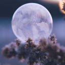 lastdayonearth2022 avatar