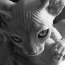 lastgod avatar