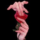 lastlibrarycard avatar