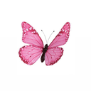 lastnight4everr avatar