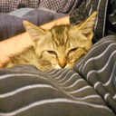 lastnightageeksavedmylife-blog avatar