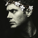 lastofthewinchesters avatar