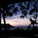 latenighthazymusings avatar