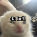 latenightjelly avatar