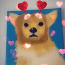 latenightjoke avatar