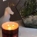 latenightloser avatar