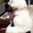 latenightqueen avatar