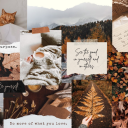 latenightreaderr avatar