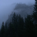 latenightscheming avatar