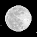 latenightstudies avatar