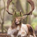 later-problem avatar