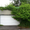 latexpaintsmell avatar