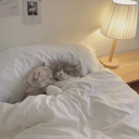 latte-with-tears avatar