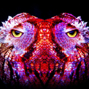 laughersxscreamers-blog avatar