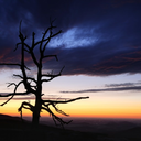 laughing-with-the-dragons avatar