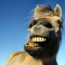 laughinglegend avatar