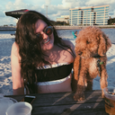 laughingnowandforever avatar