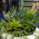 laughs-for-later avatar