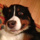 laughterlovelight avatar