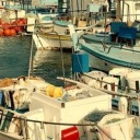 lauraanneterry avatar