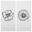 laurafloranarrative avatar