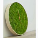 lauraiasi-blog avatar