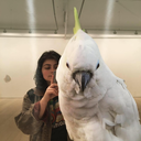 lauralaughsalot avatar