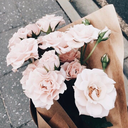 lauralizabeth avatar