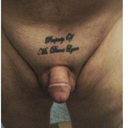 laurelineaonifall avatar