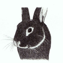 laurenheakinart avatar