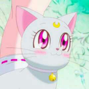 laurenkpoplover avatar