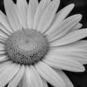 laurenlauren0 avatar