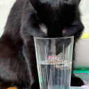 laurenleavemealone avatar