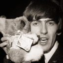 laurenlovesgeorgeharrison avatar