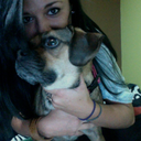 laurenmcnalis avatar