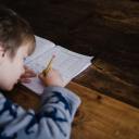 laurens-turtle avatar