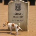 laurentcarteras avatar