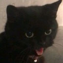 laurenzos2000 avatar