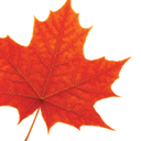 laurierwellness avatar