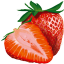 laurita-berry avatar