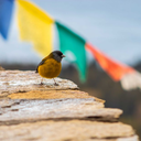 lautimellado-blog avatar