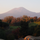 lavandulaspdreams avatar