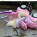 lavantakokulukanavice avatar