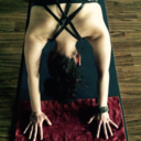 lavendar-and-eucalyptus avatar