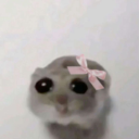 lavendarhearts avatar