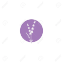 lavender---fields avatar